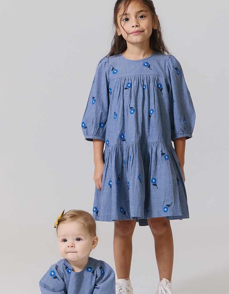 Pink Chicken fiona dress blue blossom embroidery