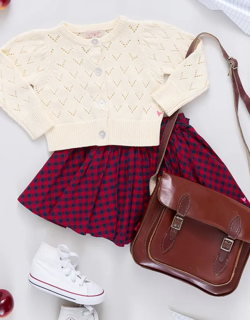 Pink Chicken gianna skirt red blue check