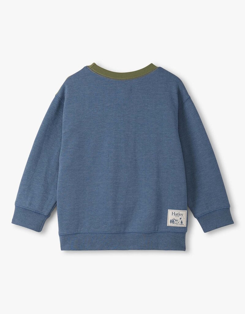 Hatley Kids autumn colour block athletic pullover