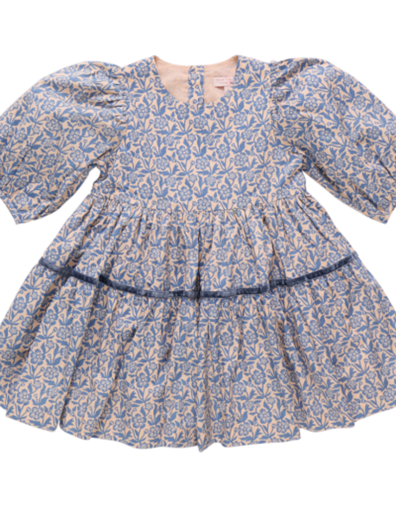 Pink Chicken maribelle dress blue climbing floral