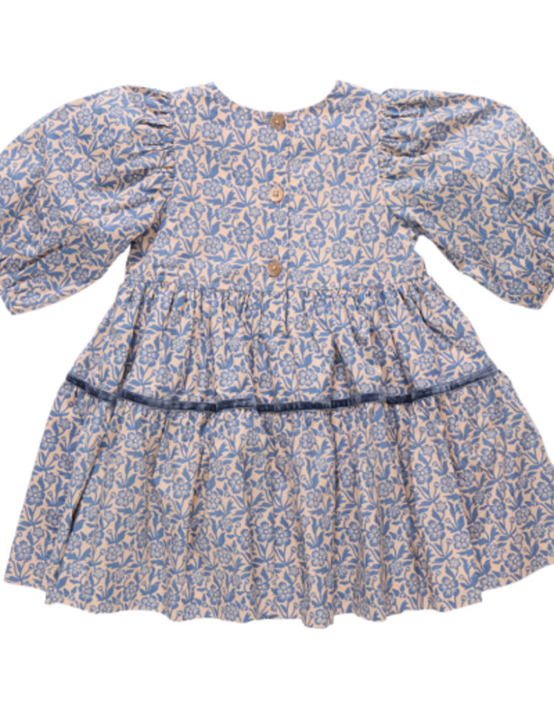 Pink Chicken maribelle dress blue climbing floral
