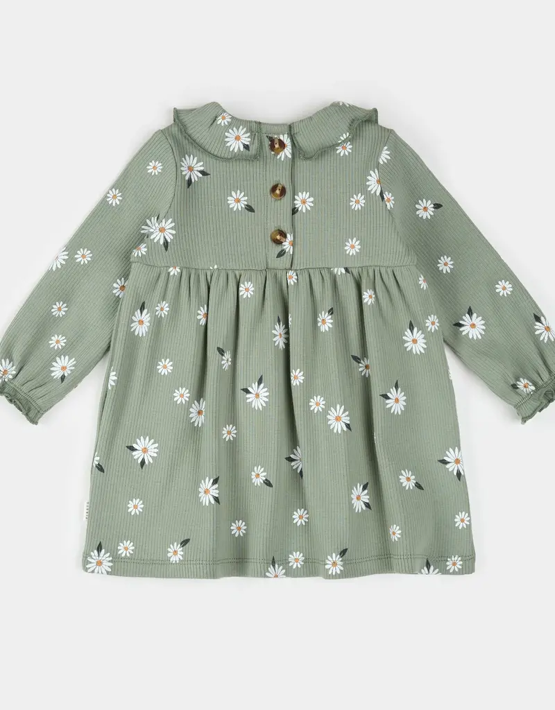 Petit Lem DAISY PRINT SAGE GREEN RIBBED DRESS SET