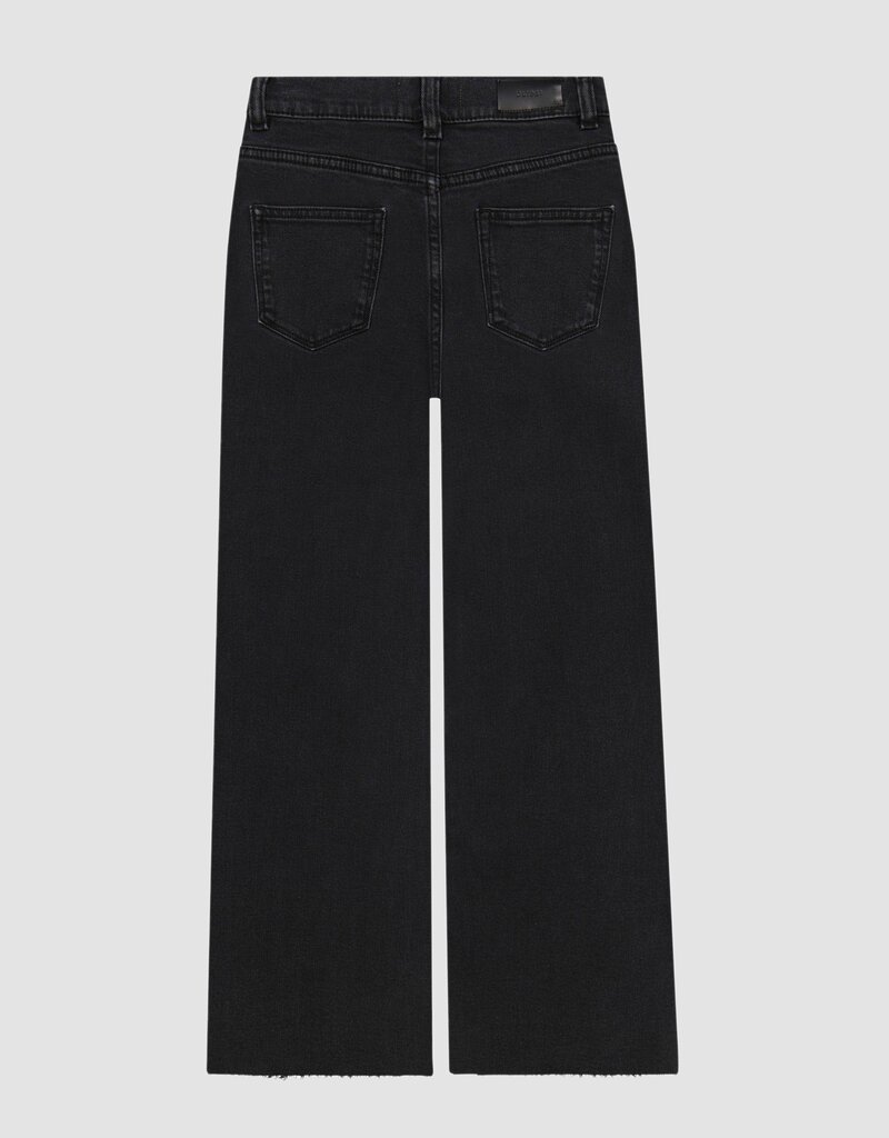DL1961 lily wide leg nightshade