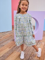 Bisby SALE. Lisle Dress Deerfield Floral