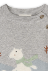 Viverano Skating Polar Bear Jacquard Knit Raglan Pullover