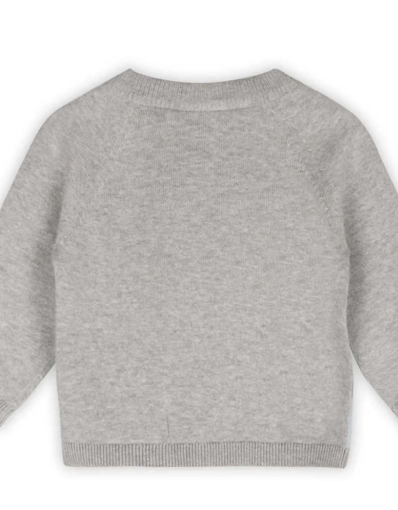 Viverano Skating Polar Bear Jacquard Knit Raglan Pullover