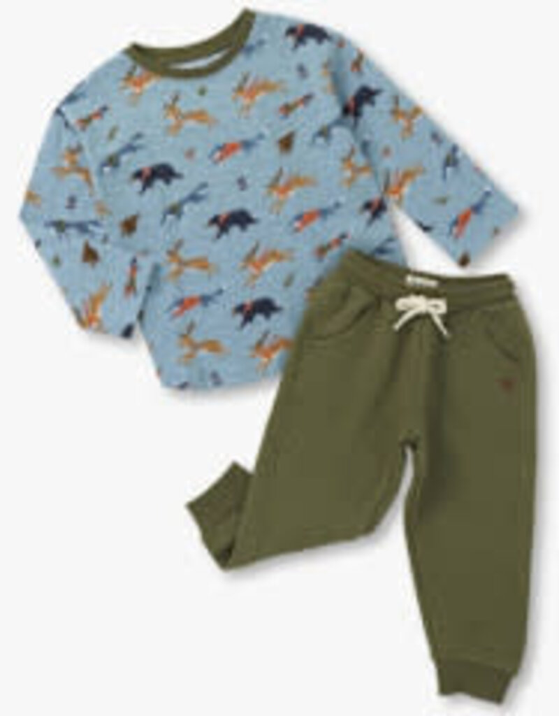 Hatley Kids forest animals graphic tee and pant set