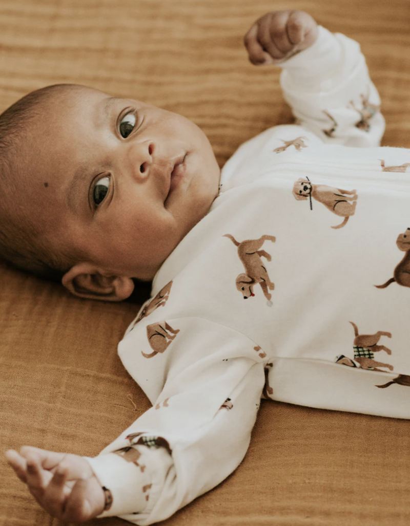 Petit Lem FOOTED SLEEPER KNIT-OFFWHITE W/PUPPIES