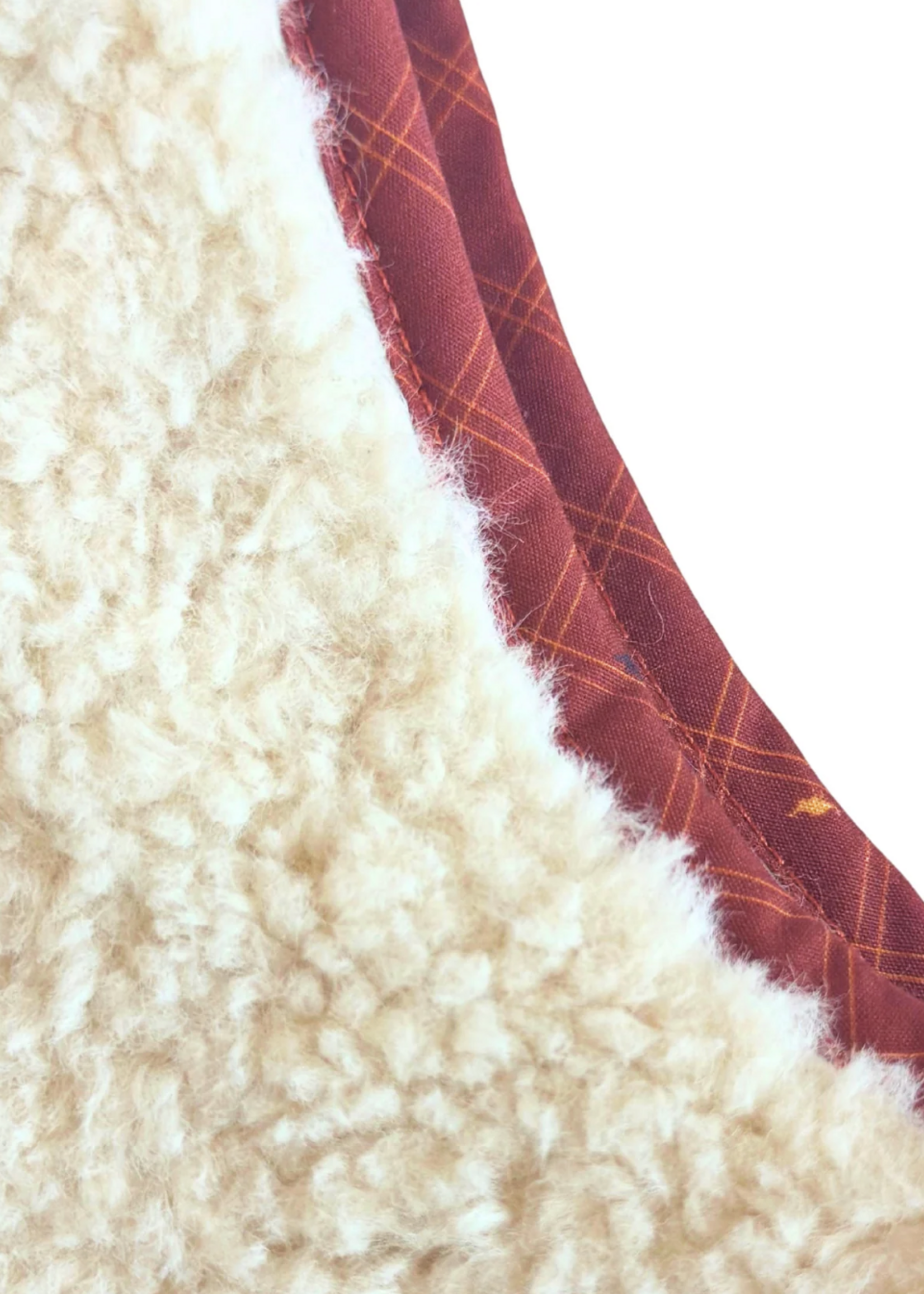 Nella June Sherpa Vest w/Red Dino