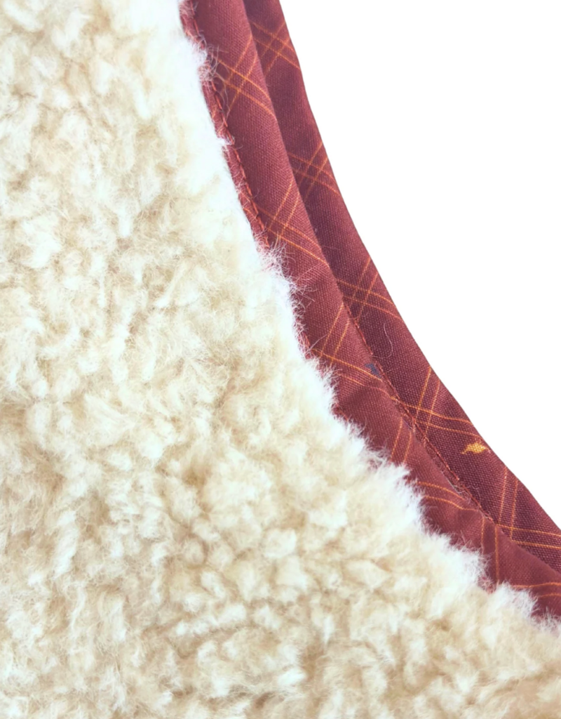 Nella June Sherpa Vest w/Red Dino