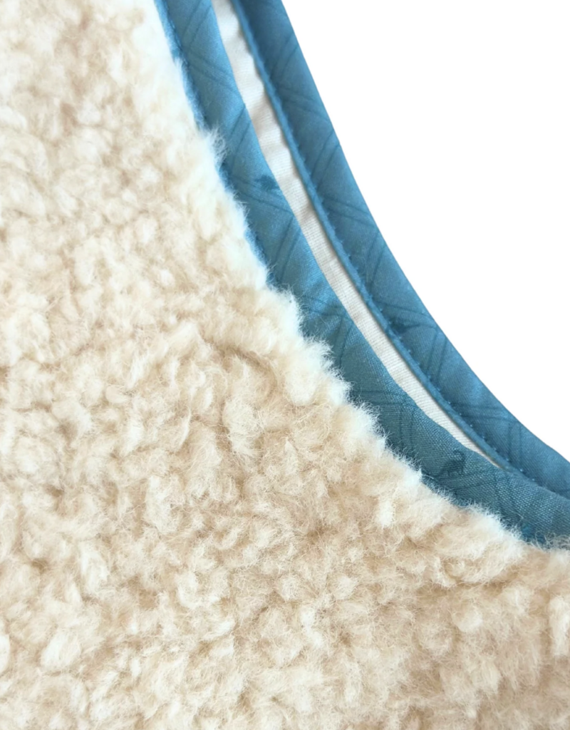 Nella June Sherpa Vest w/Blue Dino