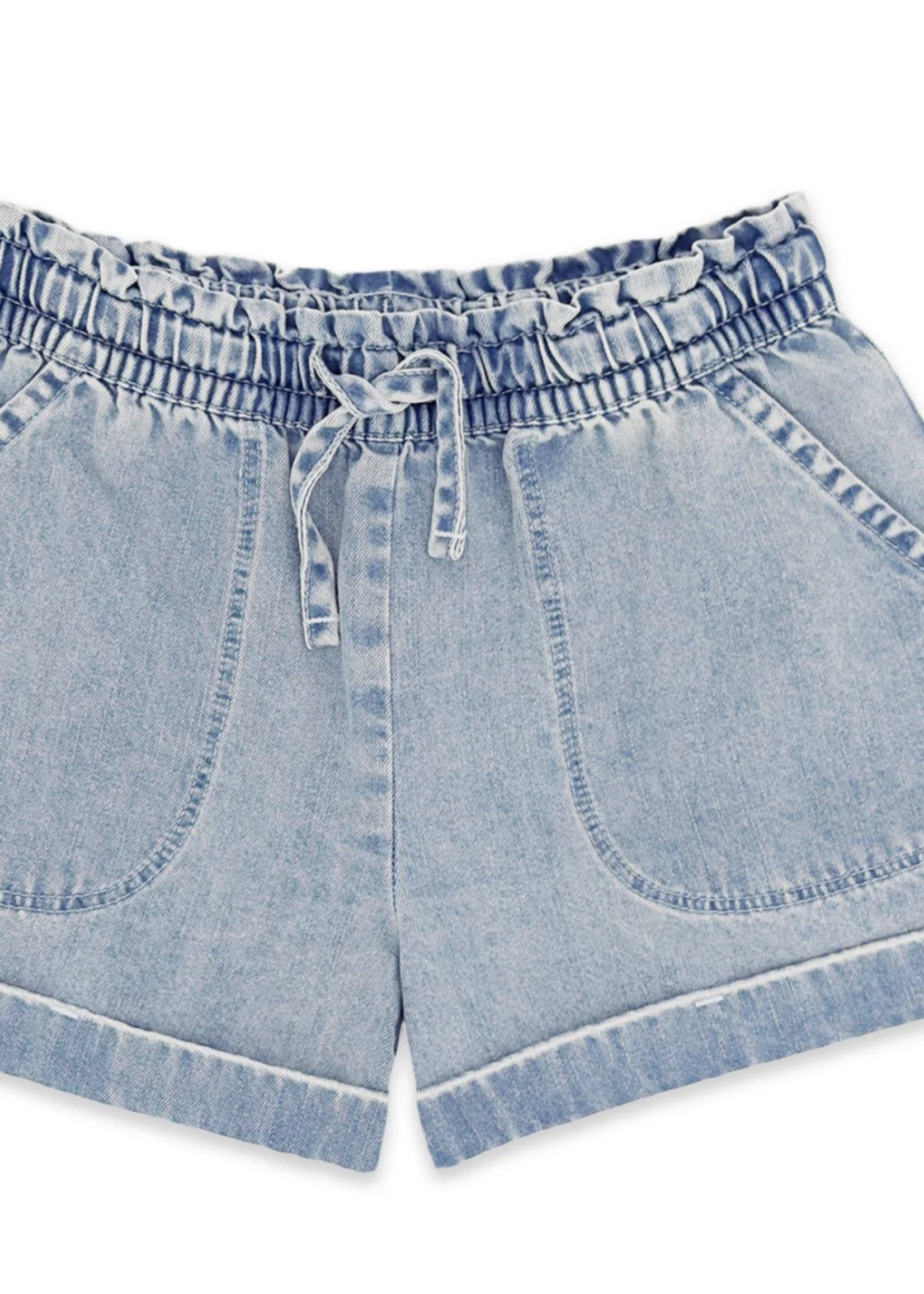 Feather 4 Arrow Salty Short Washed Indigo