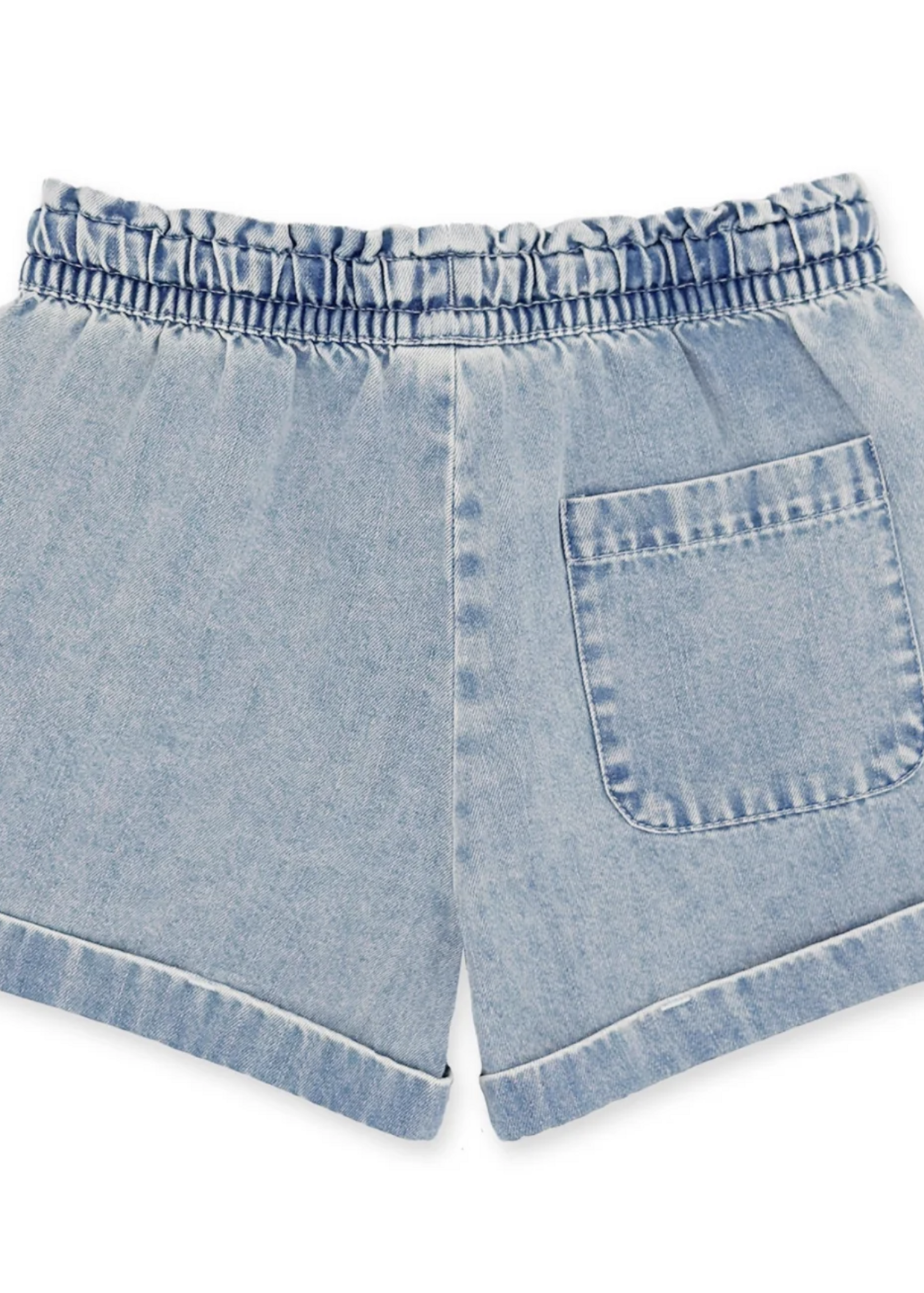 Feather 4 Arrow Salty Short Washed Indigo