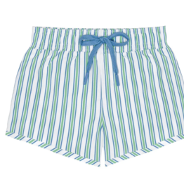 Minnow SALE tamarin stripe stripe boardie