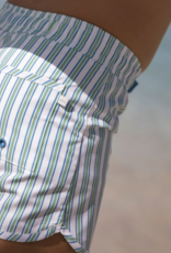 Minnow tamarin stripe stripe boardie