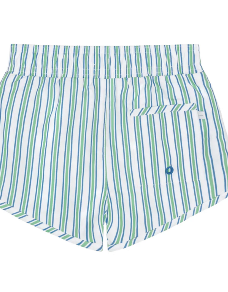 Minnow tamarin stripe stripe boardie