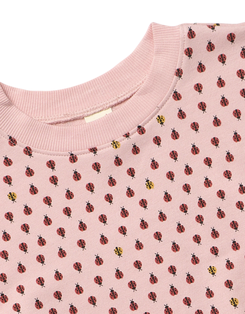 Pink Chicken Play Sweatshirt Mini Ladybugs
