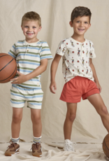 Pink Chicken Sandbox Short Green Blue Stripe