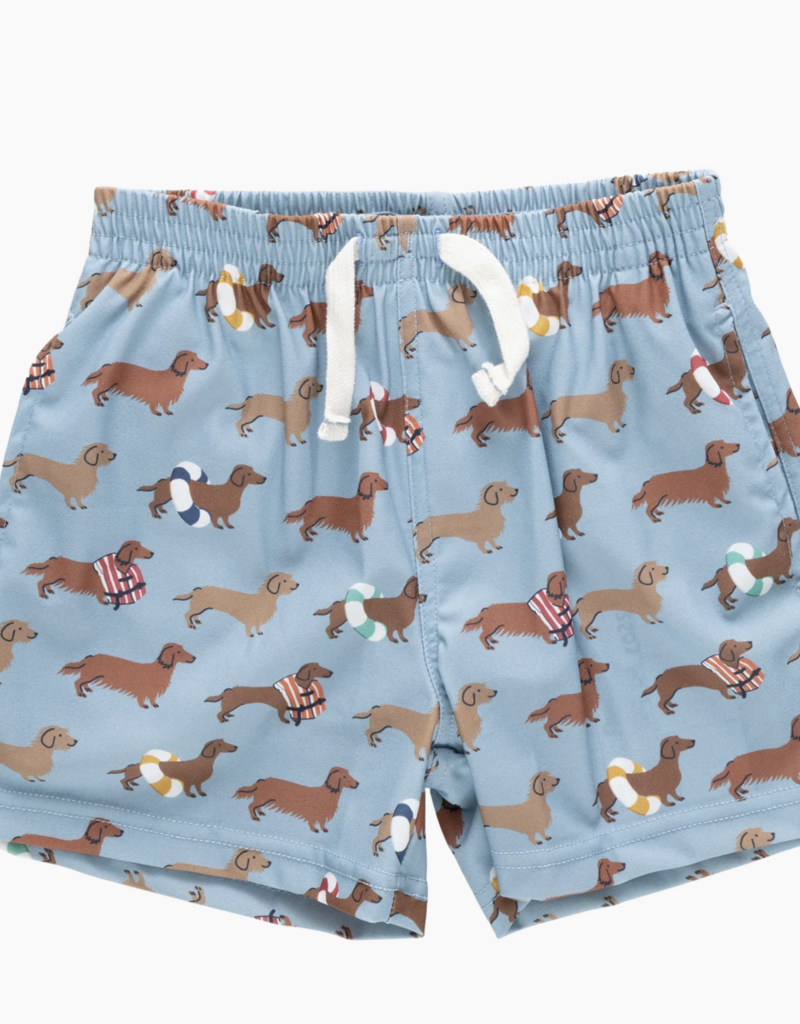 Pink Chicken baby boys swim trunk - swim dachshunds