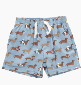 Pink Chicken SALE boys swim trunk - swim dachshunds