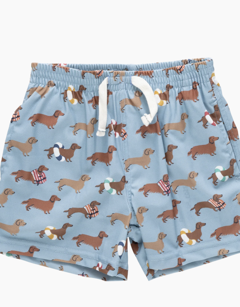 Pink Chicken boys swim trunk - swim dachshunds