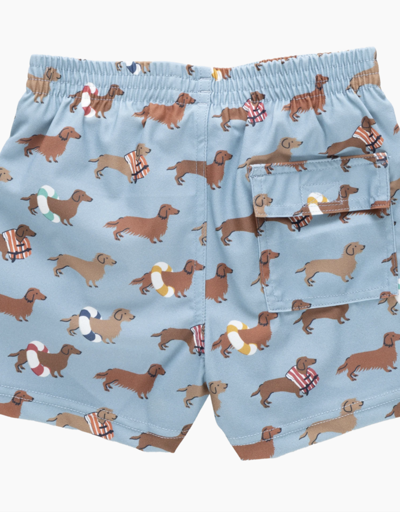 Pink Chicken boys swim trunk - swim dachshunds