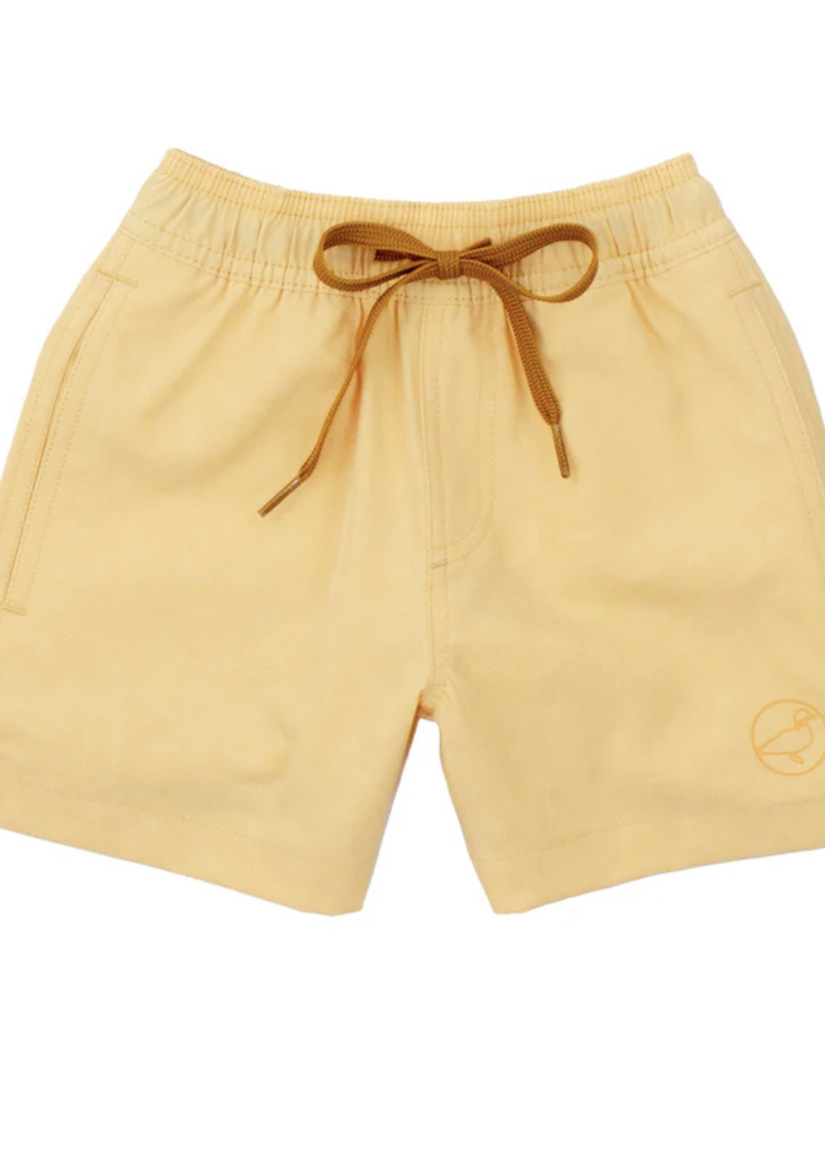 Properly Tied Boys Splash Swim Dogs