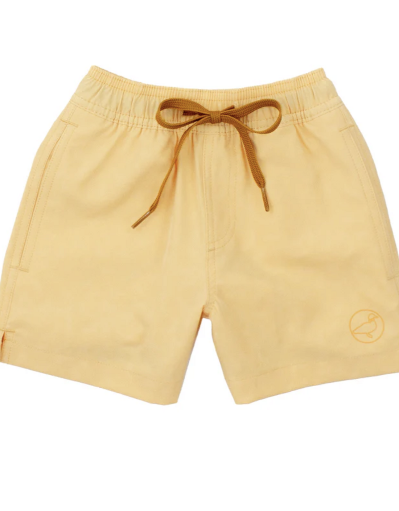 Properly Tied Boys Splash Swim Dogs