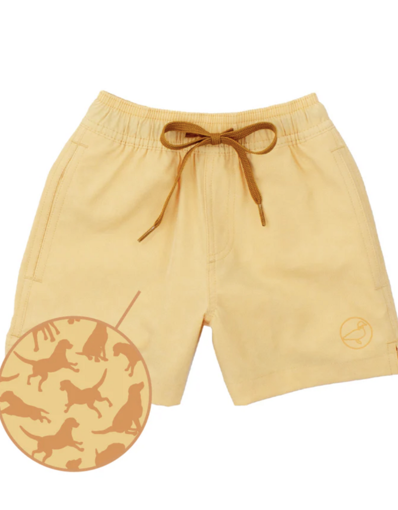 Properly Tied Boys Splash Swim Dogs