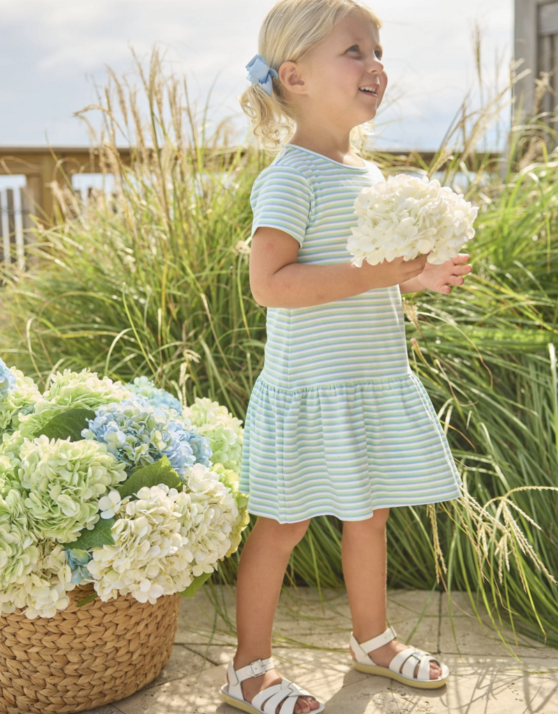 Little English Kari T- Shirt Dress Greenview Stripe