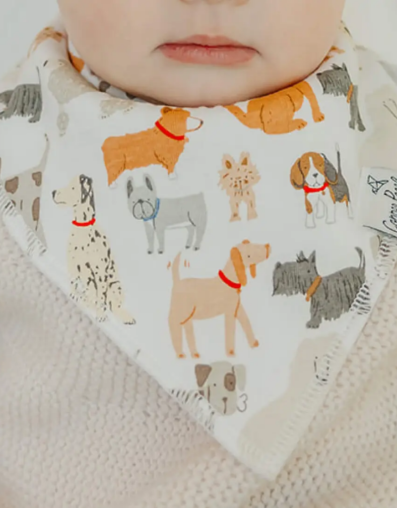 Copper Pearl Baby Bandana Bib Set Rufus