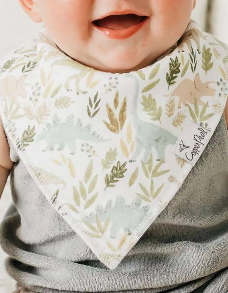 Copper Pearl Baby Bandana Bib Set Rex