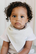 Copper Pearl Baby Bandana Bib Set Rex