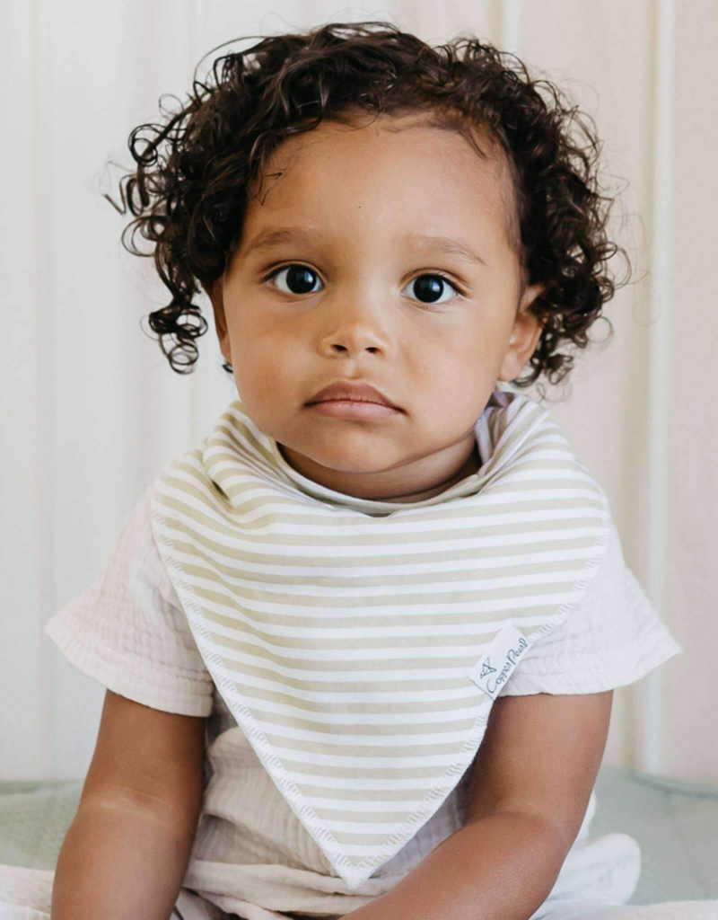 Copper Pearl Baby Bandana Bib Set Rex