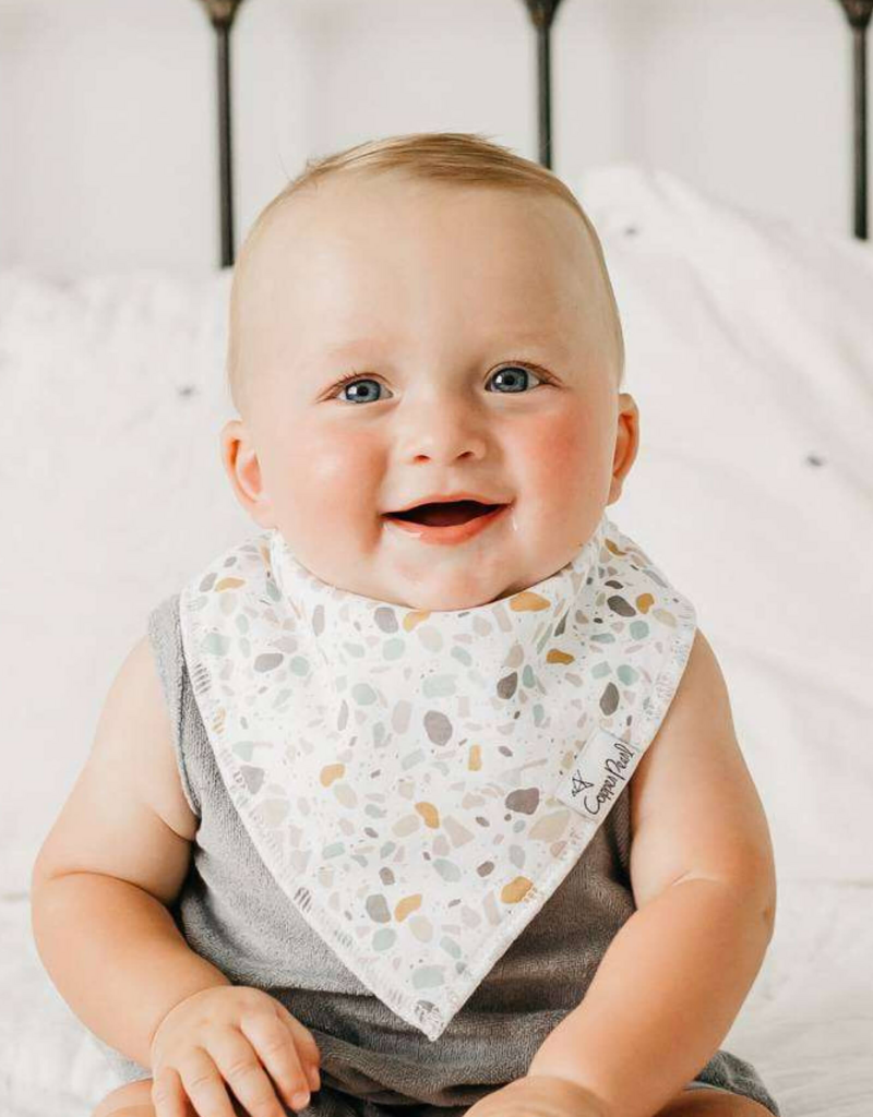 Copper Pearl Baby Bandana Bib Set Rex