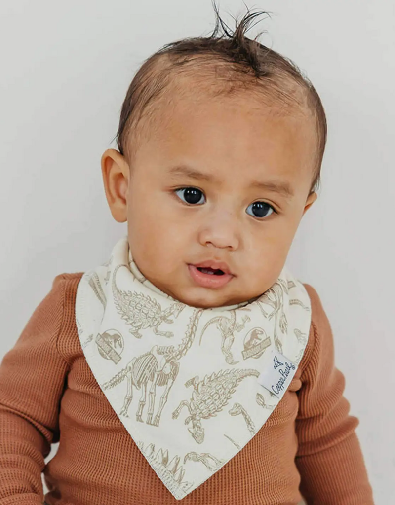 Copper Pearl Baby Bandana Bib Set Jurassic Park