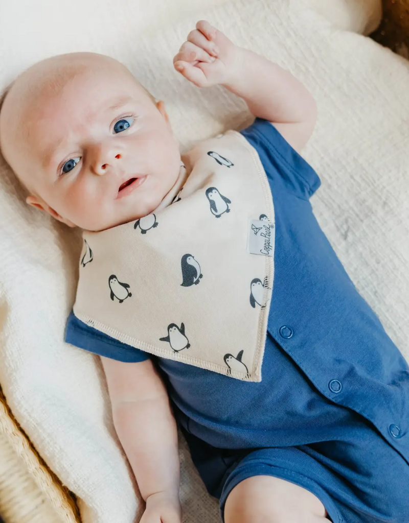 Copper Pearl Baby Bandana Bib Set Arctic Wonder
