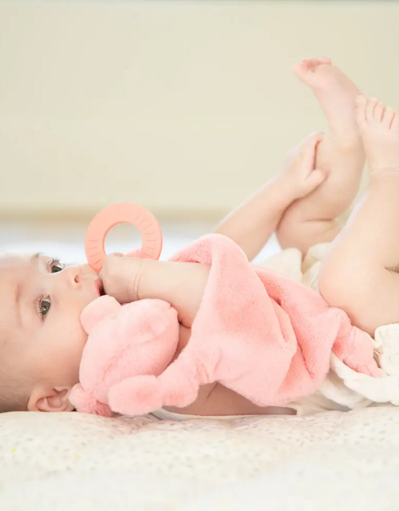 Bella Tunno Teether Buddy Penny the Pig