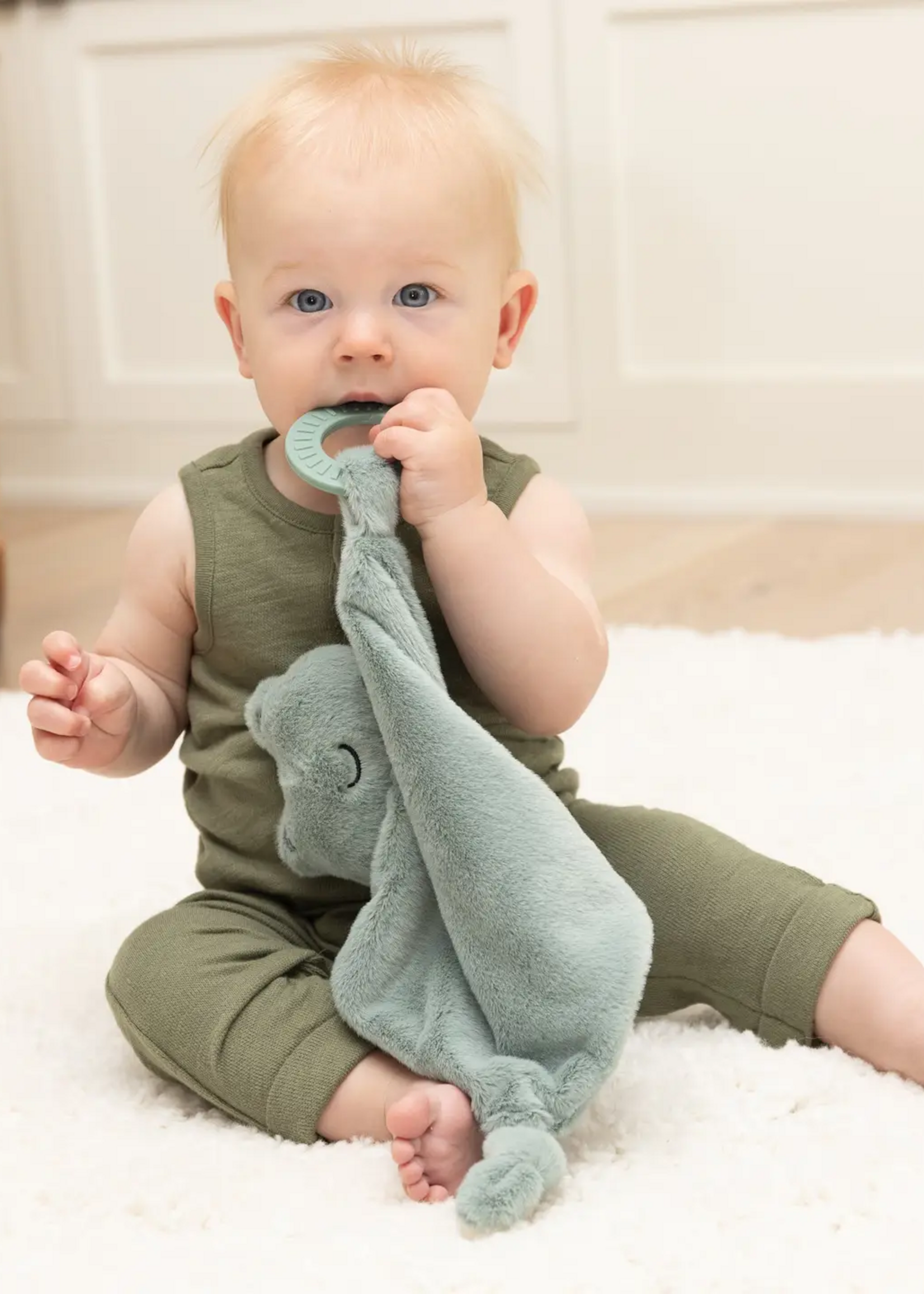 Bella Tunno Teether Buddy Frog
