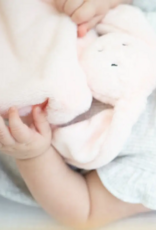 Bella Tunno Pacifier Buddy Betty the Bunny