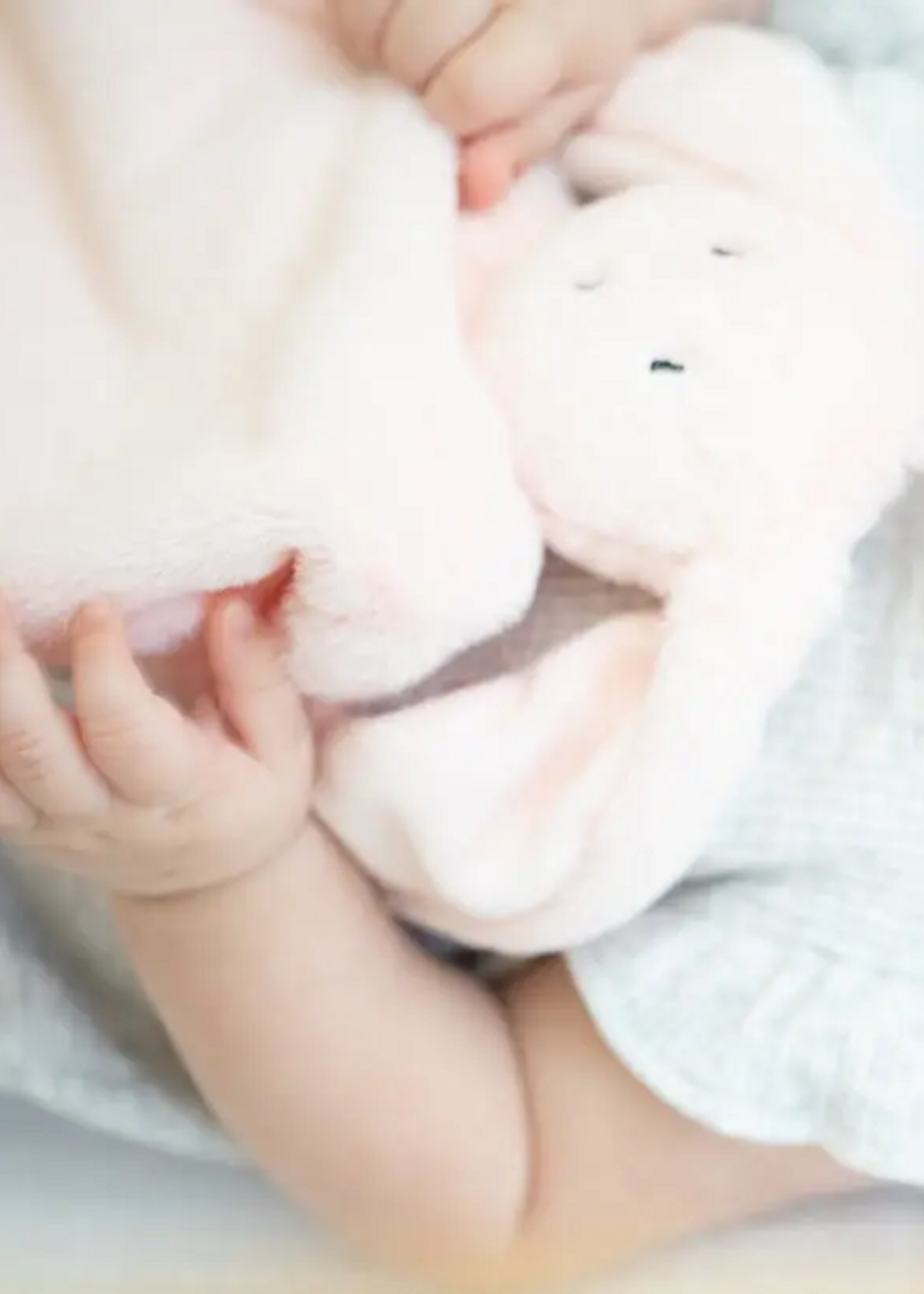 Bella Tunno Pacifier Buddy Betty the Bunny