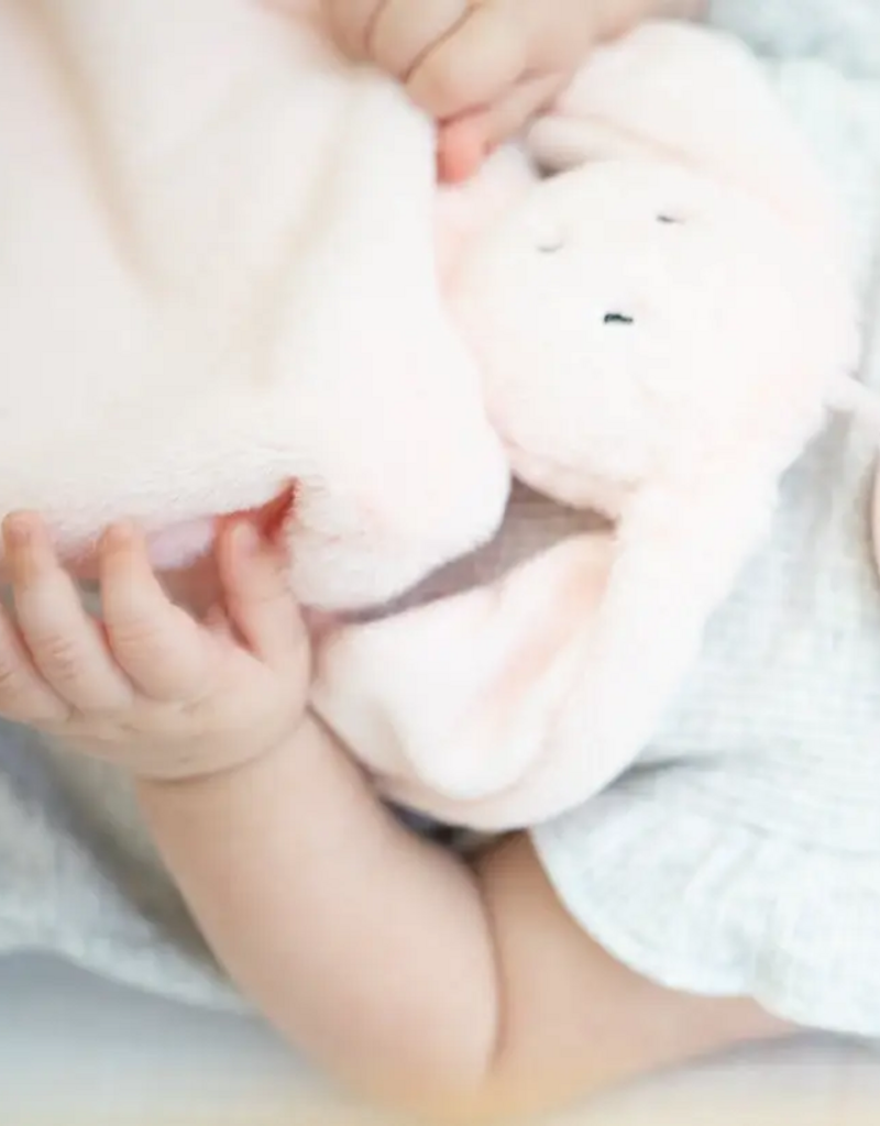Bella Tunno Pacifier Buddy Betty the Bunny