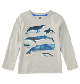 Tea Collection WHALE DISCOVERY GRAPHIC TEE MICA