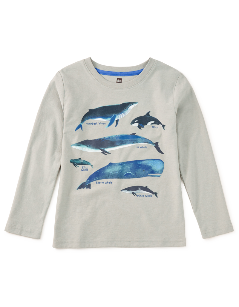 Tea Collection WHALE DISCOVERY GRAPHIC TEE MICA