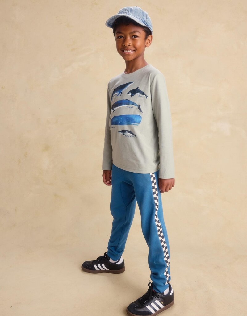 Tea Collection WHALE DISCOVERY GRAPHIC TEE MICA