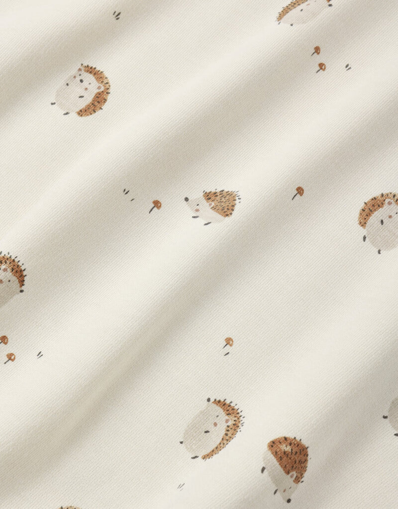 Rylee + Cru LLC RELAXED SWEATSHIRT HEDGEHOG