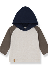 1 + in the family Oristano Hooded Raglan Tee