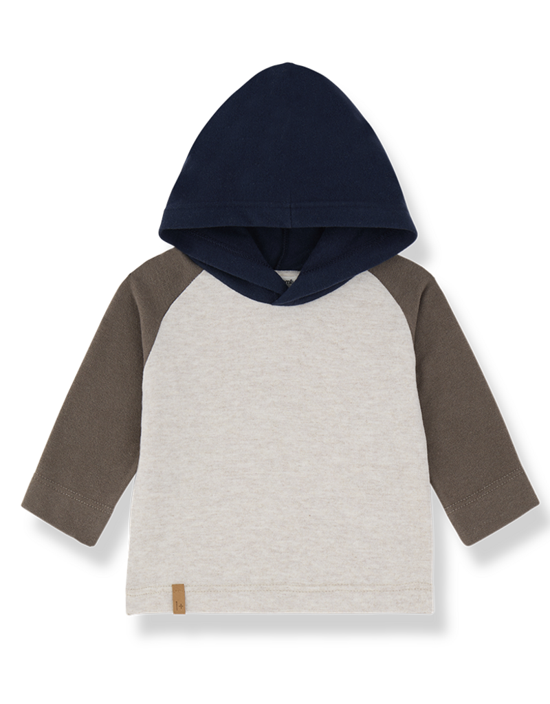1 + in the family Oristano Hooded Raglan Tee
