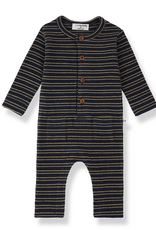 1 + in the family Goose Jumpsuit Blue Stripe