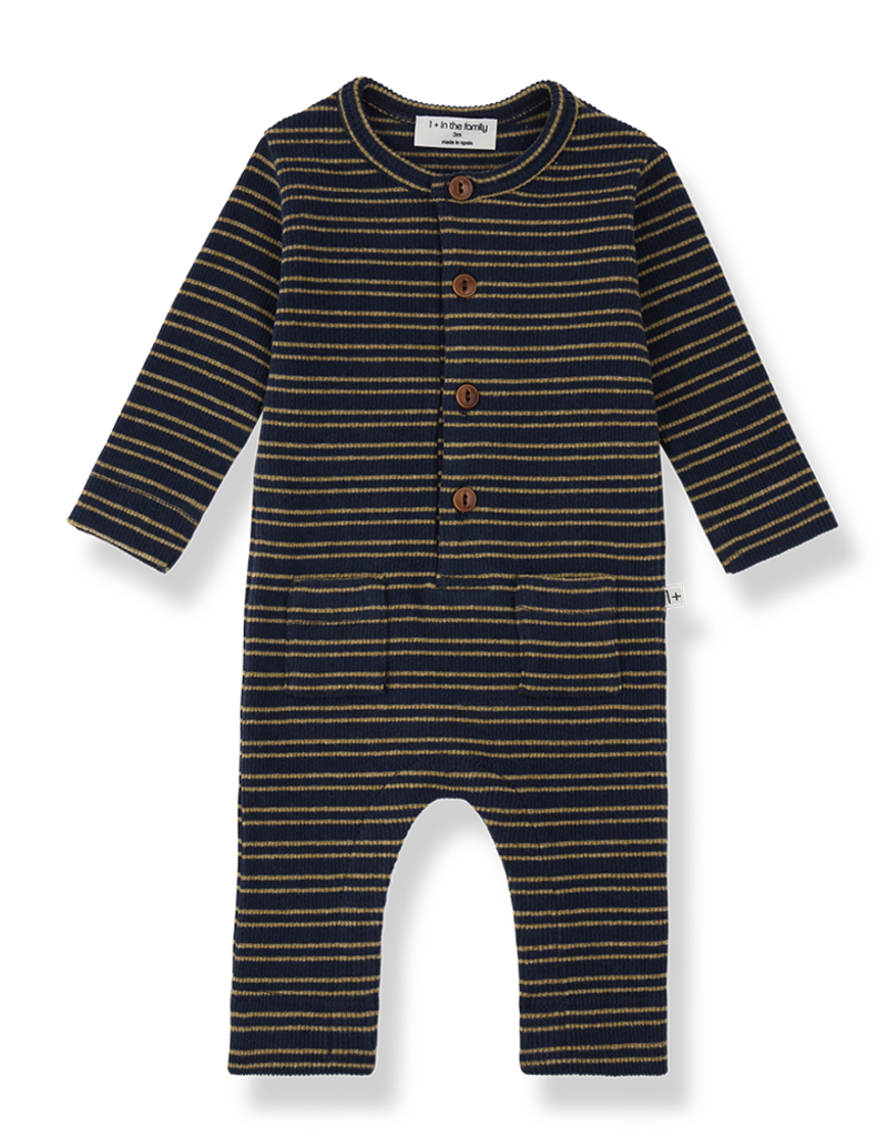 1 + in the family Goose Jumpsuit Blue Stripe